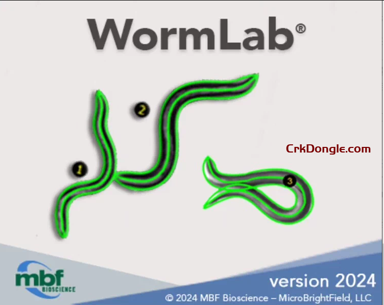 WormLab 2024.1