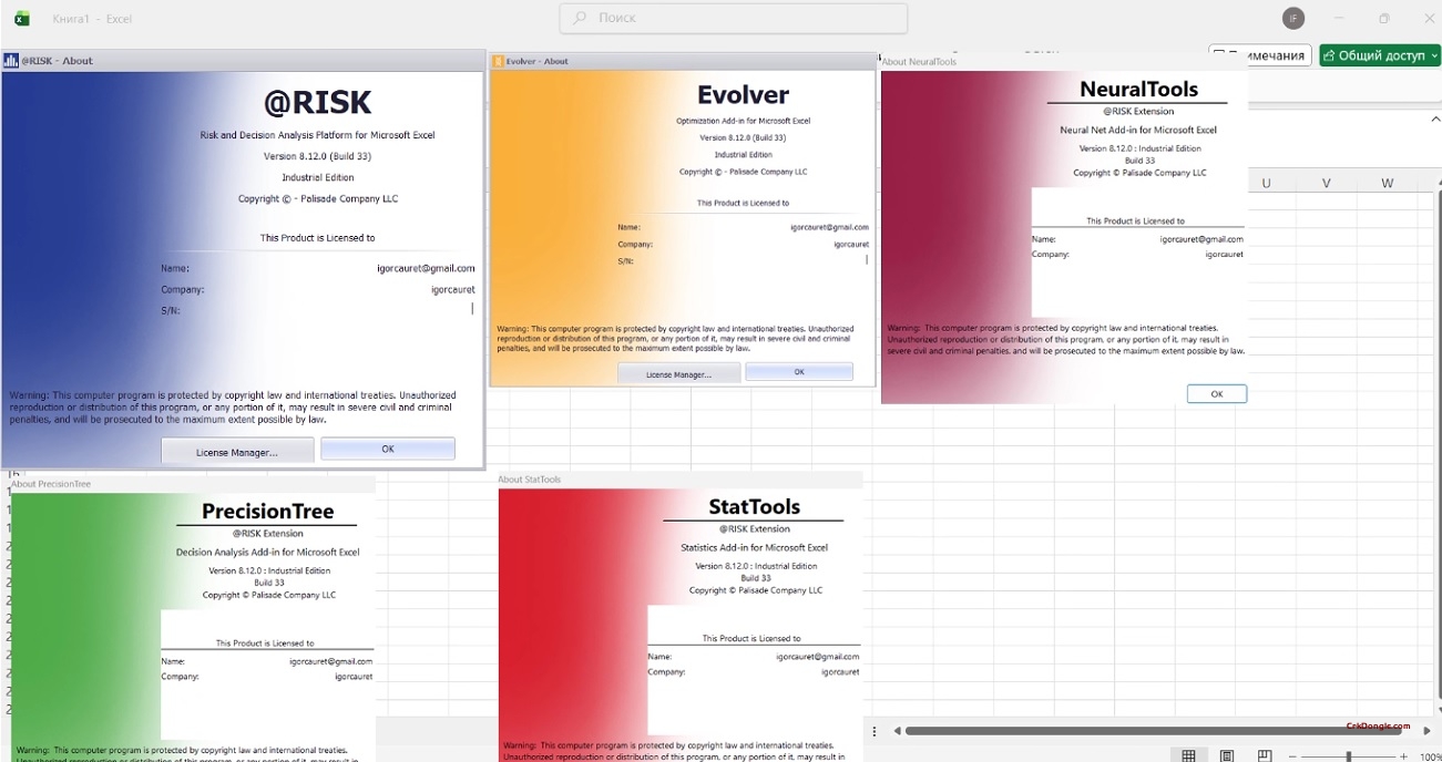 Palisade Risk Platform (DecisionTools Suite) 2025 v8.12-Engineering software Download