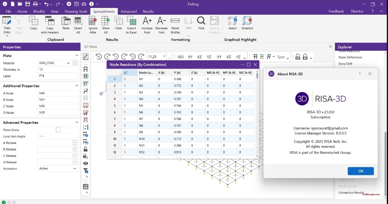 RISA-3D 23.0-Engineering software Download